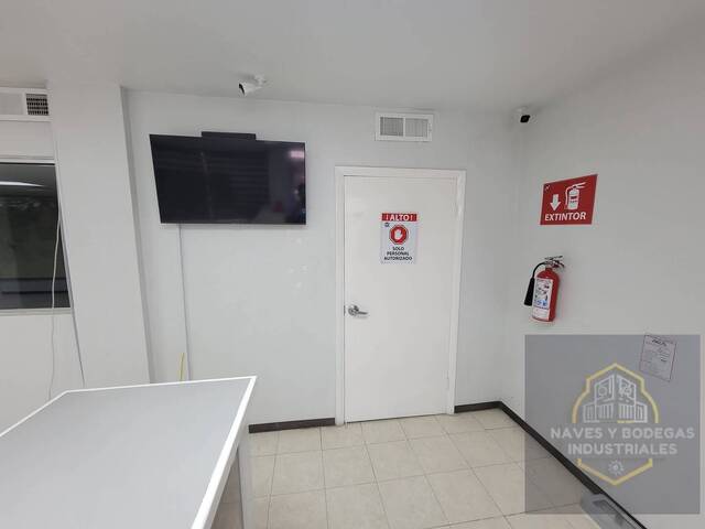 Bodega para Renta en Juárez - 4