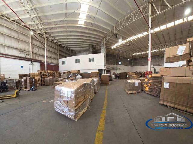 Bodega para Venta en Juárez - 5